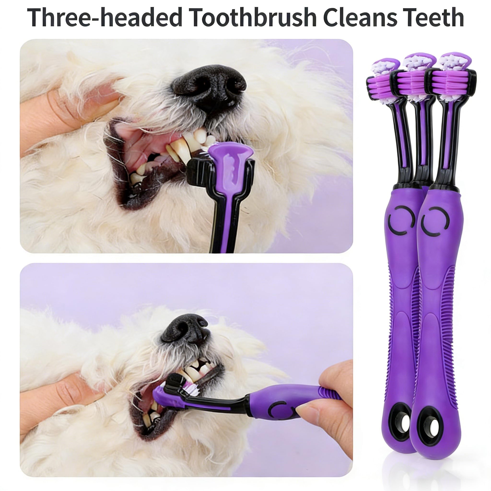 Lot de 9 brosses pour chiens et chats - Coupe-griffes avec lime, peigne démêlant, brosse de bain et shampoing - Accessoires de toilettage pour poils courts et longs