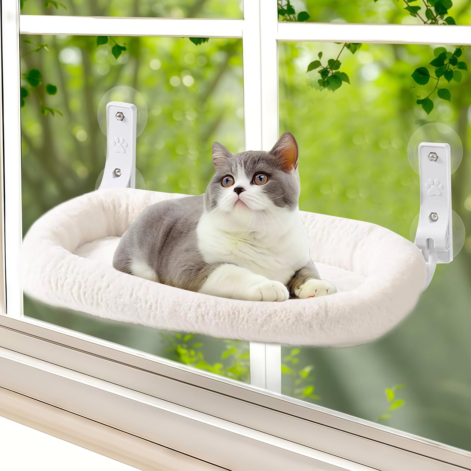 Cordless Hamac pour chat, chaise longue avec ventouses et rembourrage en tissu double face amovible, pliable, pour chat, fenêtre, perche, jusqu'à 15 kg, pour fenêtre et mur, 30 x 52 cm, blanc