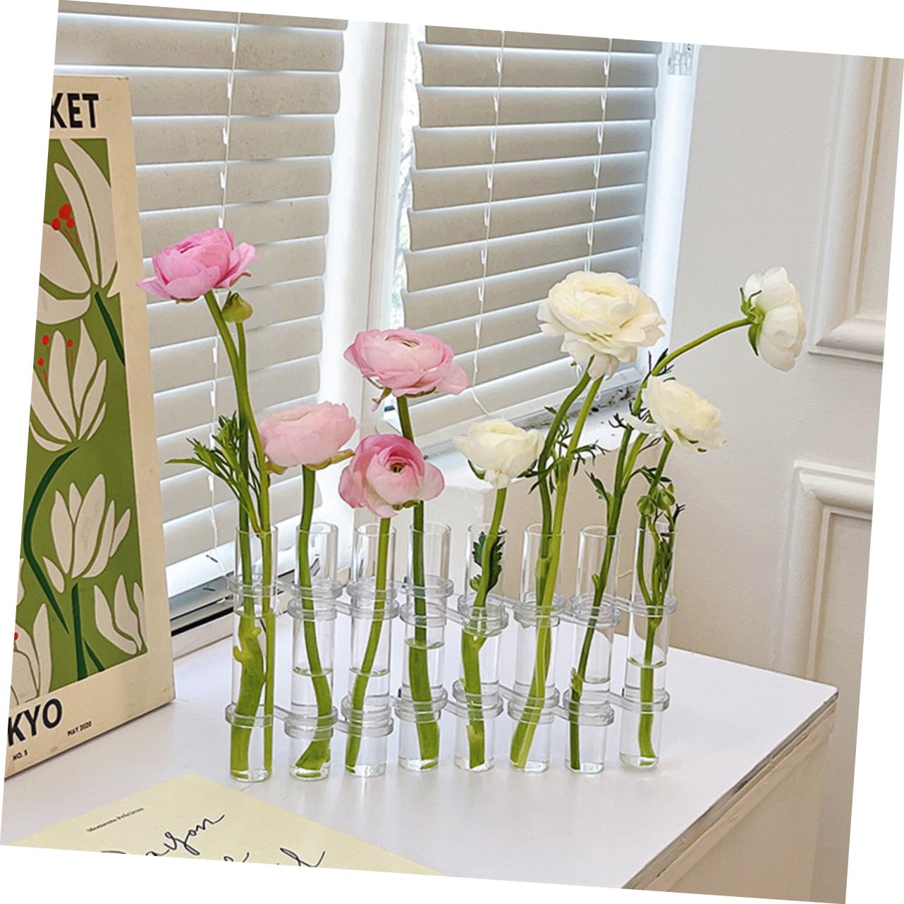 Homoyoyo Set de Vases Verre Transparent pour Hydroponie Test Tubes Propagation Large avec Brosse Pot à Plantes Intérieur pour Décoration Maison et Bureau