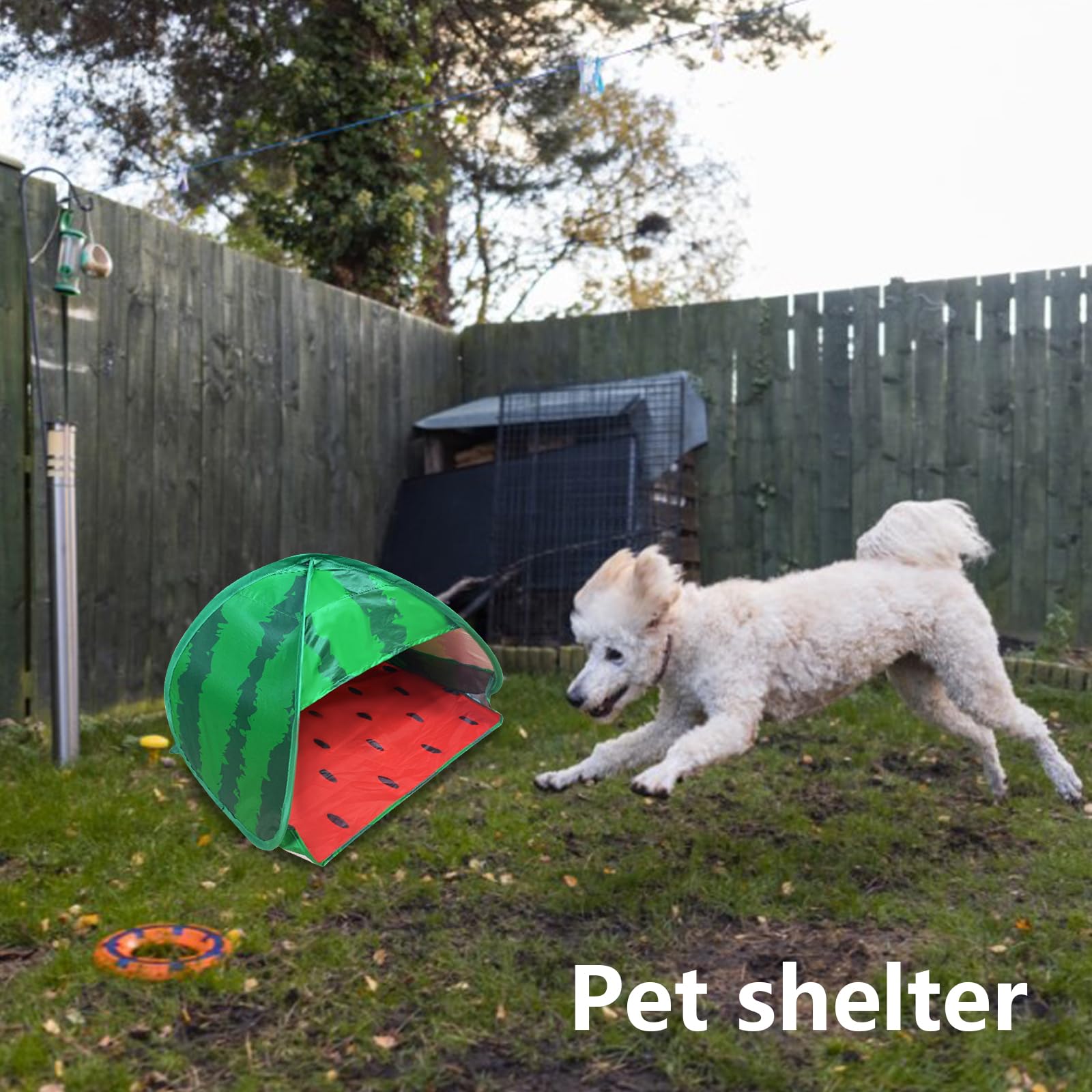 Tente de plage pour chien, 1 pack Pastèque Tente de plage portative à ouverture automatique Mini tente pour chien et chat, Protection des animaux domestiques pour l'intérieur et l'extérieur, M