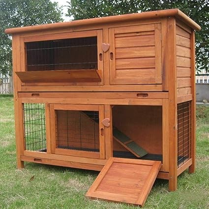 guinea pig hutch
