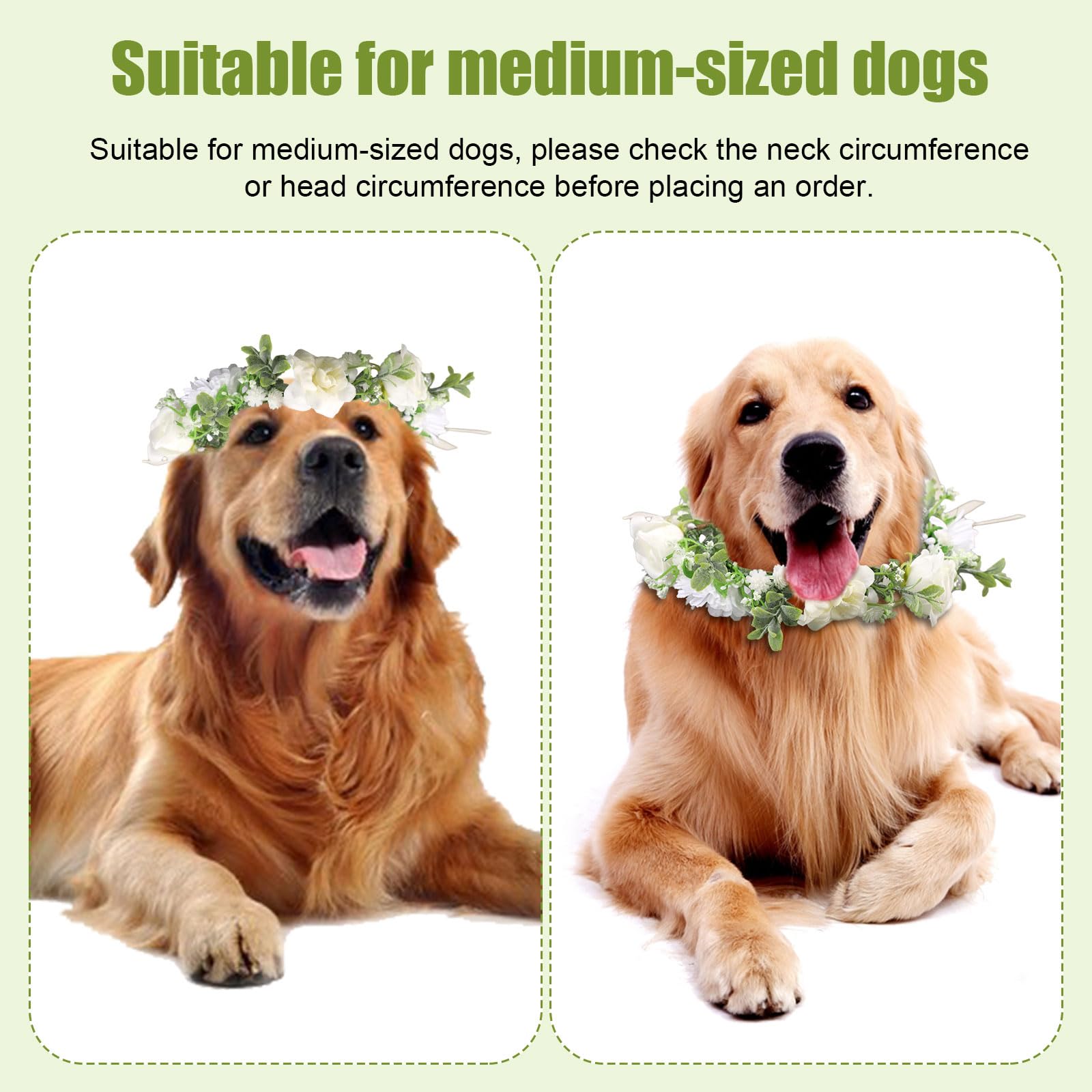 Flower Dog Wedding Collar - Image 4