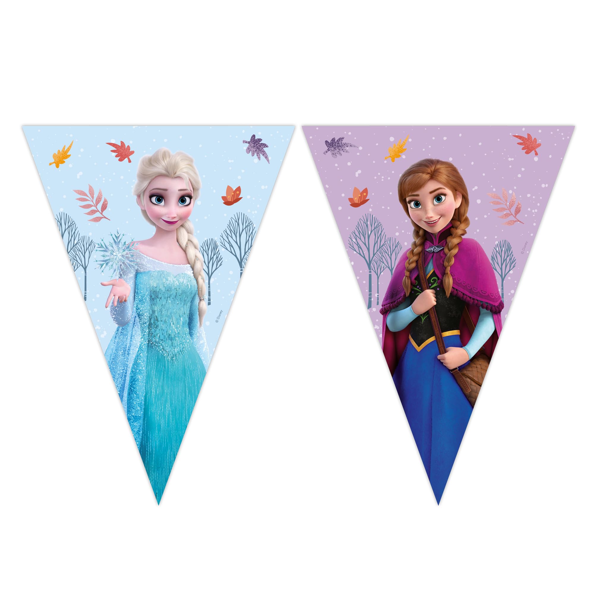 Frozen Idyllic Wonder FSC Paper Triangle Flag Banner (9 Flags) 1ct