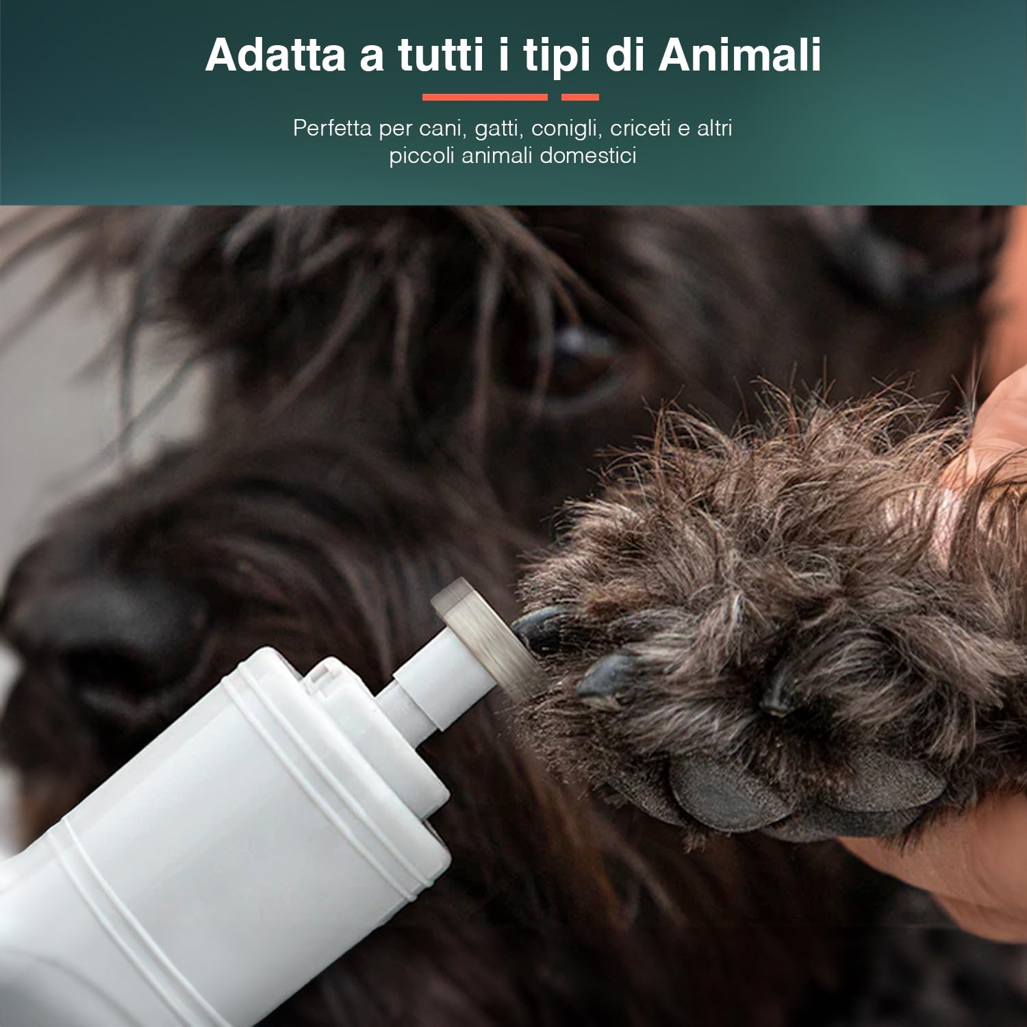 Avilia Lima per Unghie per Animali Domestici, Elettrica - 3 velocità Regolabili, 2 Fessure di Dimensioni Diverse, Adatta a Tutti i Tipi di Animali, Funzionamento a Batterie, in ABS, 3.5x13x3cm