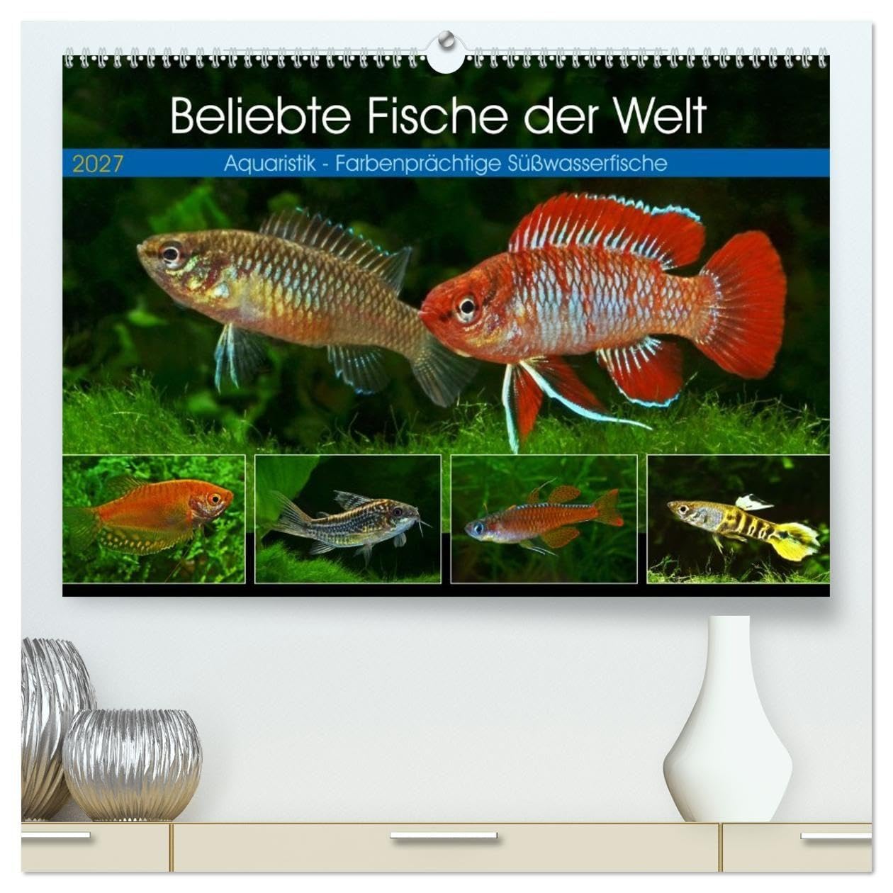 Beliebte Fische der Welt (hochwertiger Premium Wandkalender 2027 DIN A2 quer), Kunstdruck in Hochglanz: Aquaristik - Farbenprächtige Süßwasserfische (CALVENDO Hobbys)