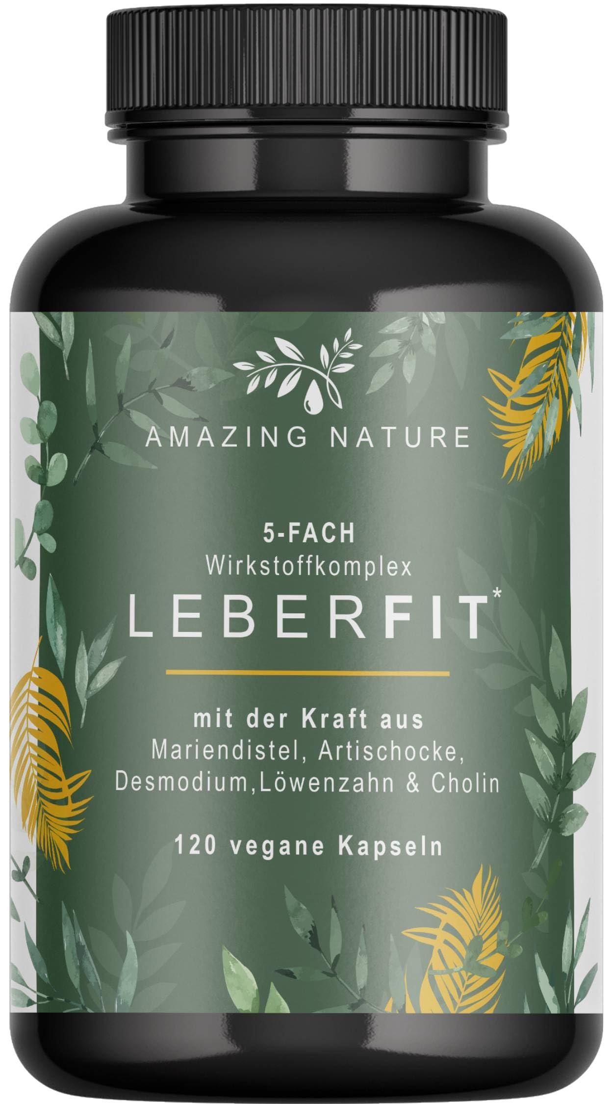 LeberFit Mariendistel Kapseln Hochdosiert 5-Fach Komplex mit Cholin | 80% Silymarin, Cholin & 4 Pflanzenextrakte nur 1 Kapsel täglich, bis zu 4 Monate Vorrat