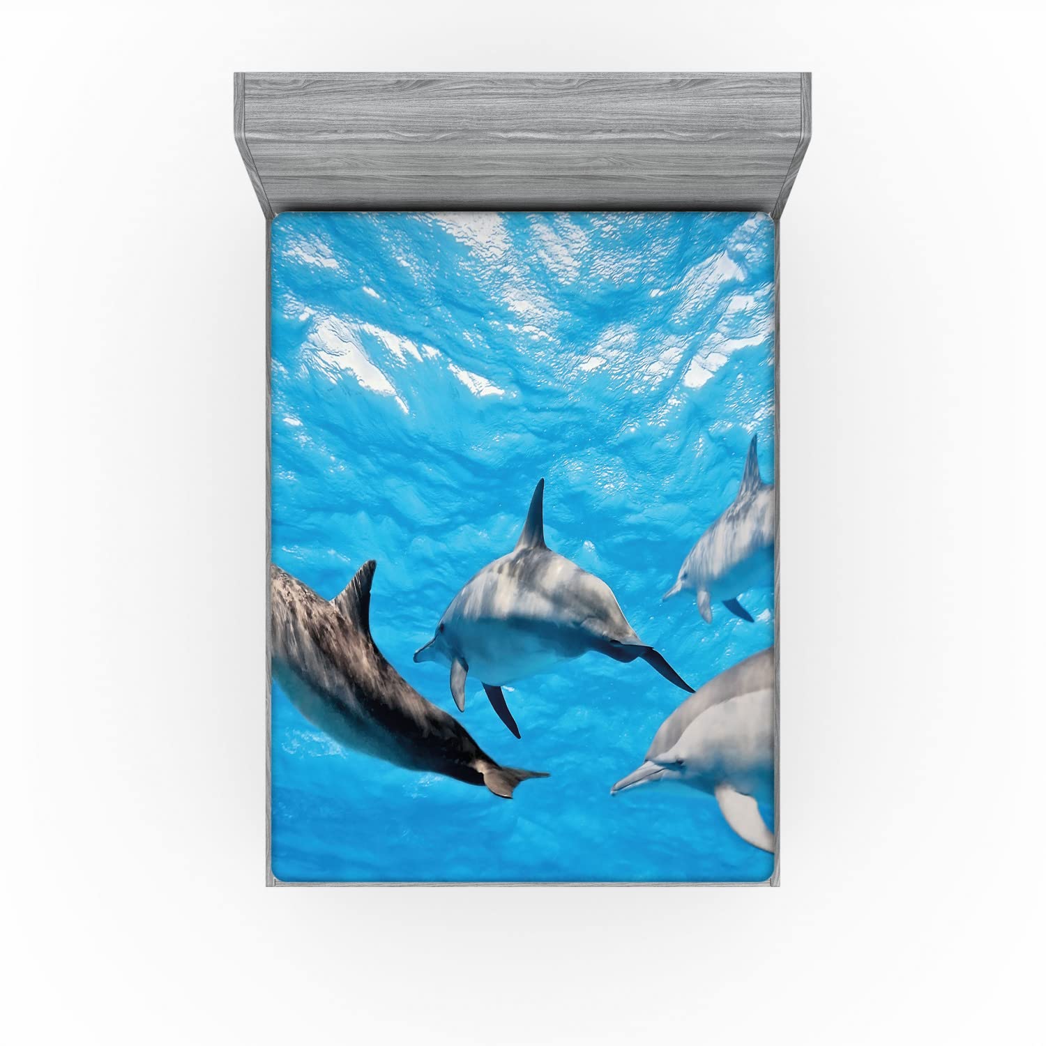 Ambesonne Dolphin 2 Pack Fitted Sheet, Happily Swimming Fish, Bed Cover All-Round Elastic Deep Pockets 2 Pieces, Package Contains 2 Full Size Fitted Sheets, Grey Blue