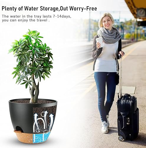 Miniatura 10 de Dorcy Macetero de riego automático de 12 pulgadas, macetas grandes con depósito extraíble profundo y agujeros de drenaje de malla múltiple, macetas