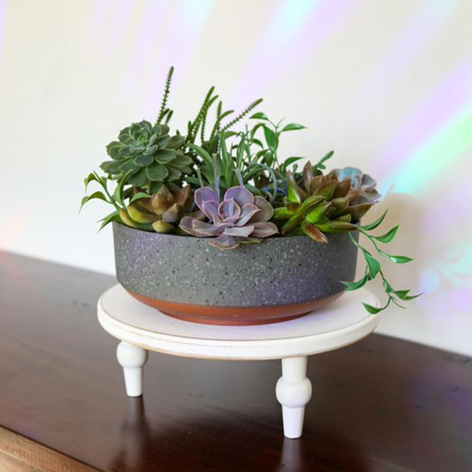 The HC Companies 8 Inch Round Capri Bowl Decorative Indoor Flower Succulent Planter Pot with Drain Plug Hole, Faux Concrete with Copper Base (2 Pack)