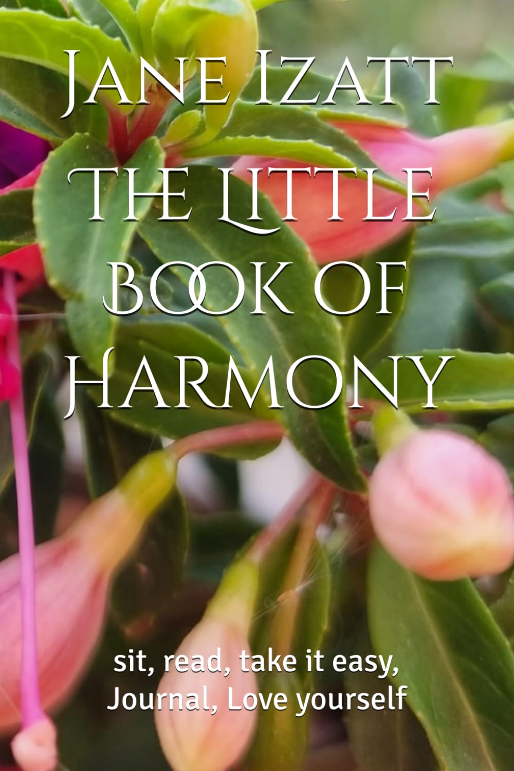 The Little Book of Harmony: sit, read, take it easy, Journal, Love yourself