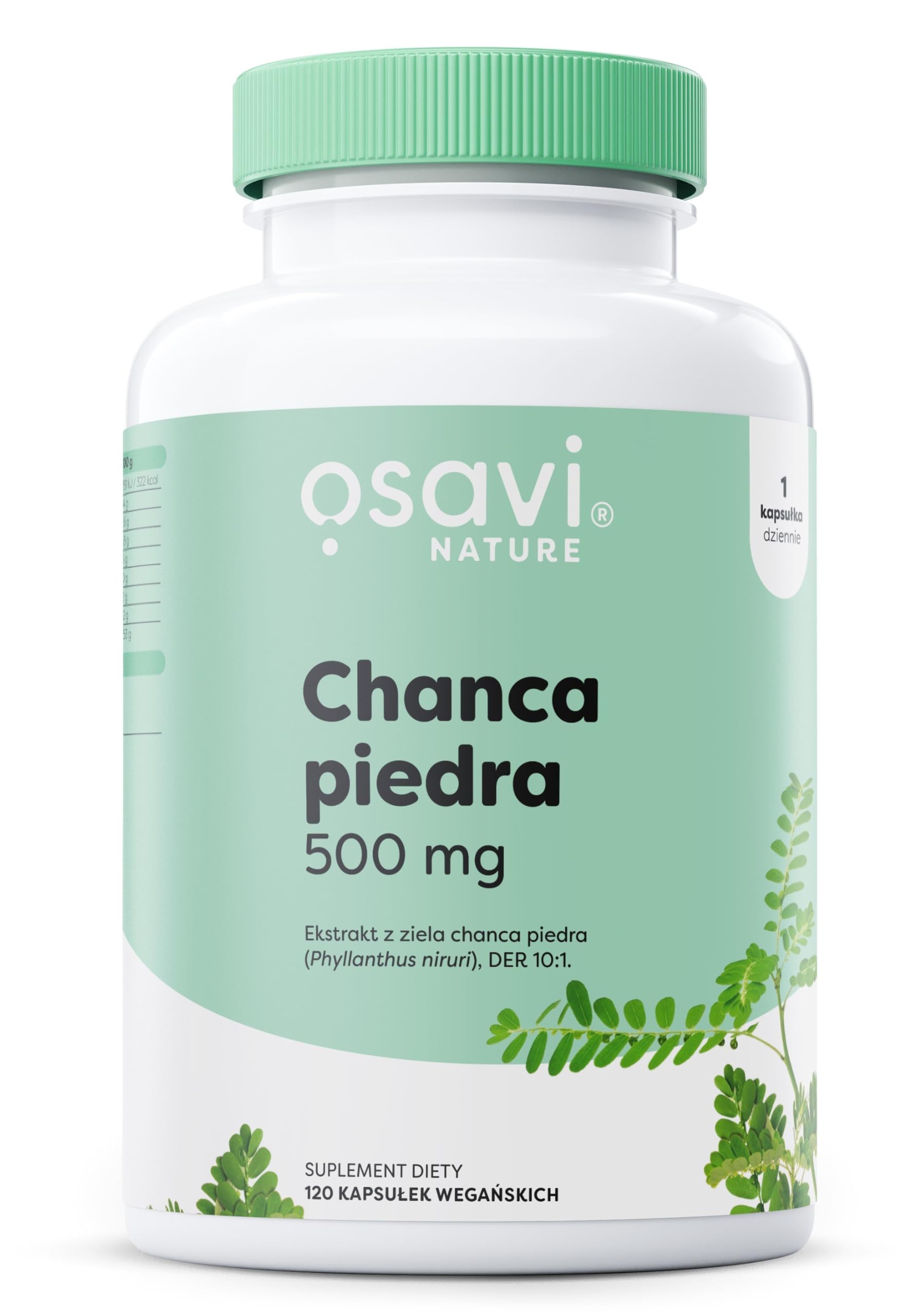 Osavi Chanca Piedra – 120 wegańskich kapsułek | Tradycyjna roślina | Ekstrakt z ziela chanca piedra | 500 mg ekstraktu w jednej kapsułce z 5000 mg Phyllanthus niruri | Clean Label | Dla Wegan