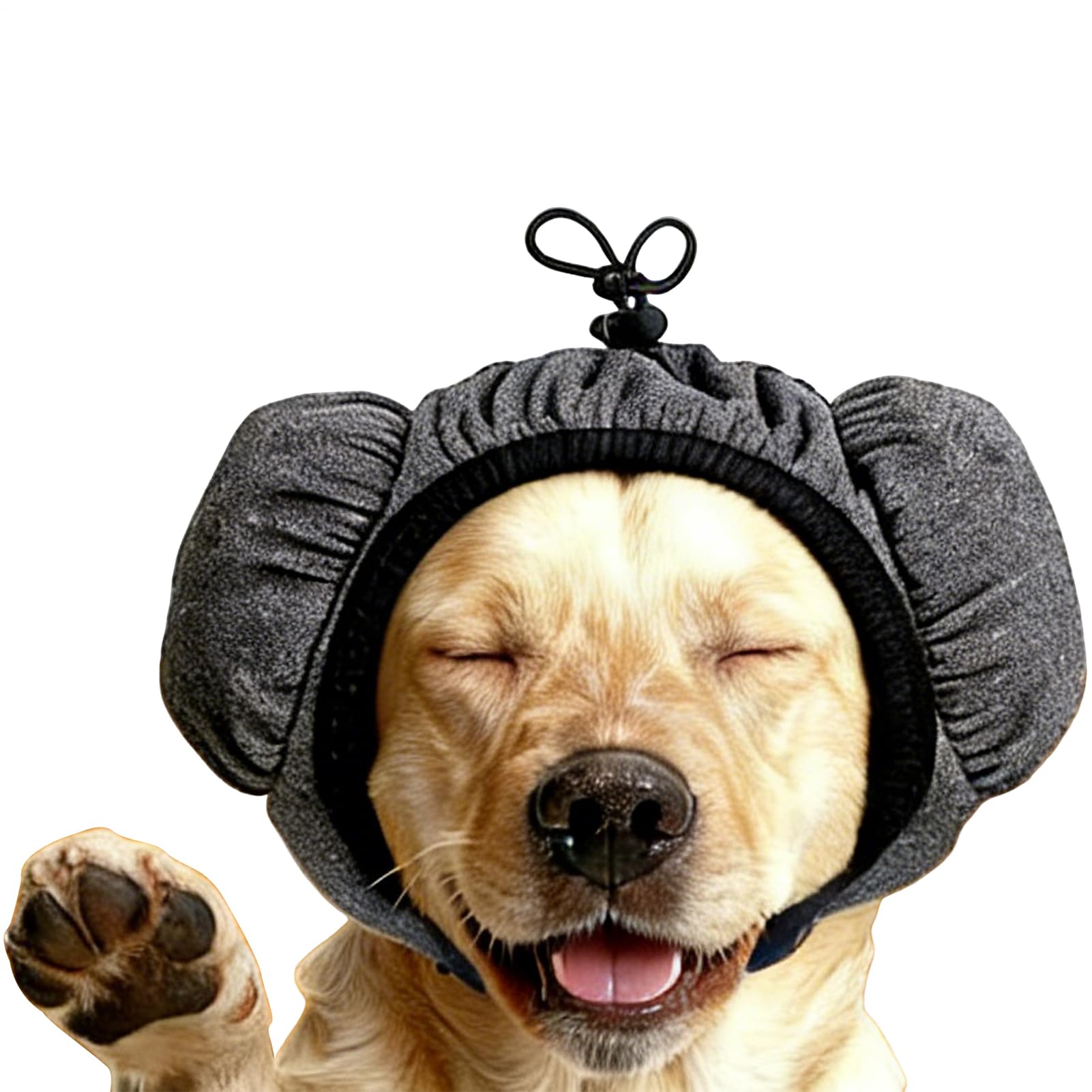 Écharpe d'oreille pour chien de voyage et marche extérieur