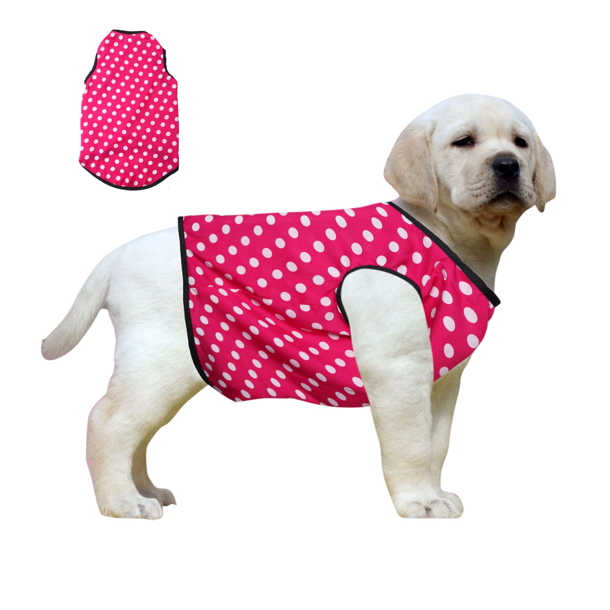 Western Era Funky Soft Cotton Dog T-Shirt, Comfortable Dog Clothing, Sleeveless Vest Puppy Outfit, Apparel (Medium - 16i
