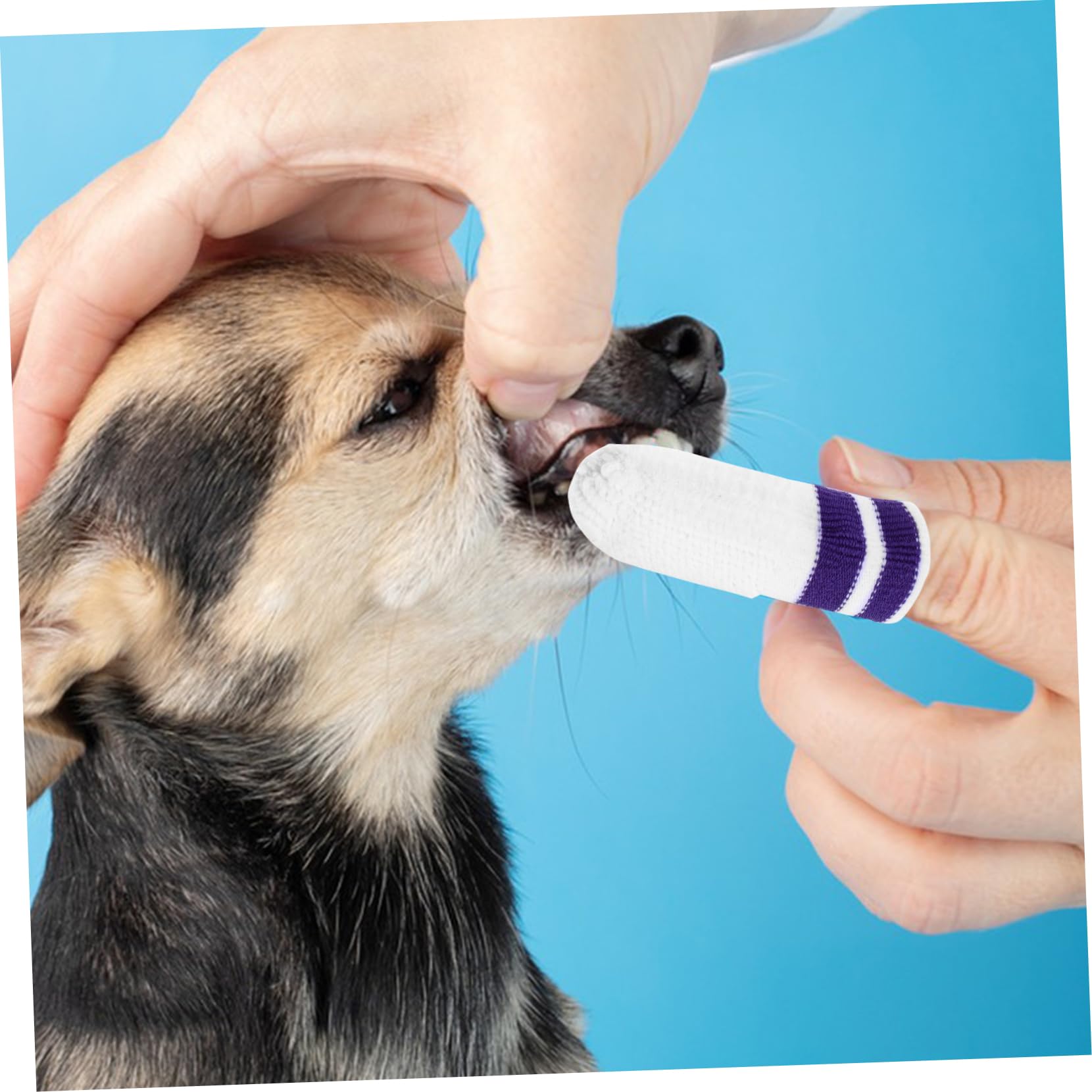 YARNOW Lot De 4 Brosses À Dents Pour Animaux De Compagnie Brosses À Dents Pour Chiens Et Chats Lingettes Buccales En Nylon Lot De 6 Brosses À Dents Pour Animaux De Compagnie