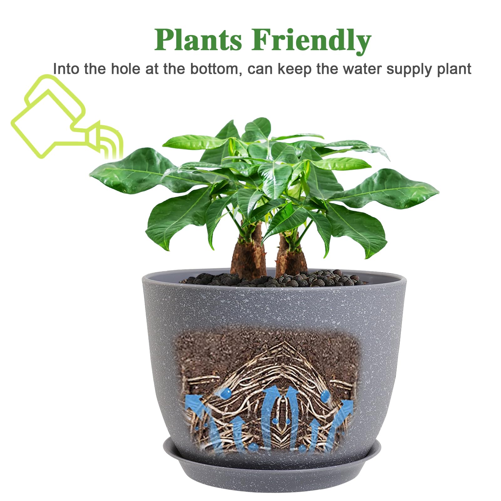 ポポラス/ 729 Amazon | INTEX(インテックス) プール フルーティープレイセンター 244