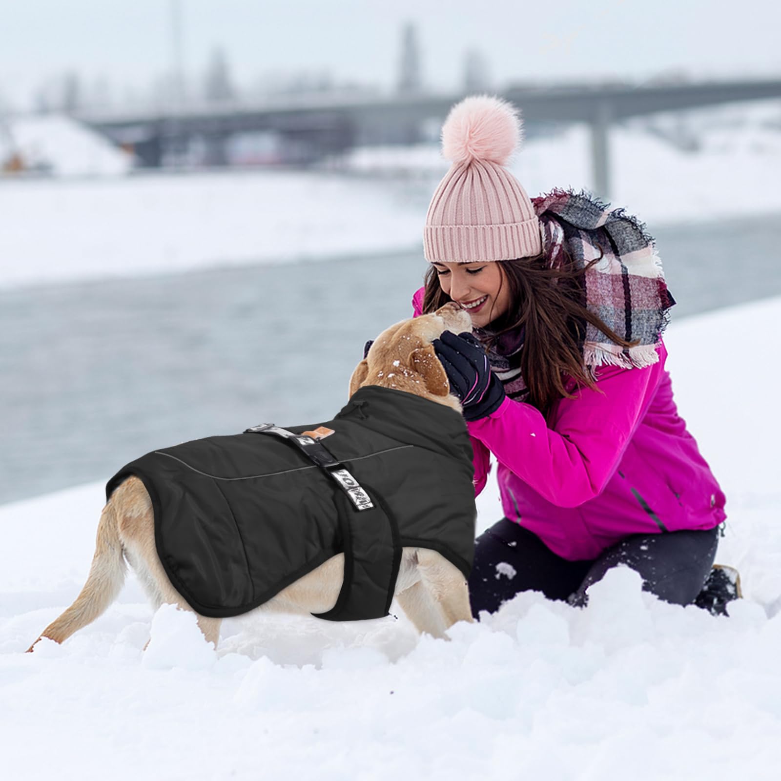 FEimaX Manteau d'hiver pour Chien Veste Chaud Coupe-Vent Réfléchissant 6XL Noir