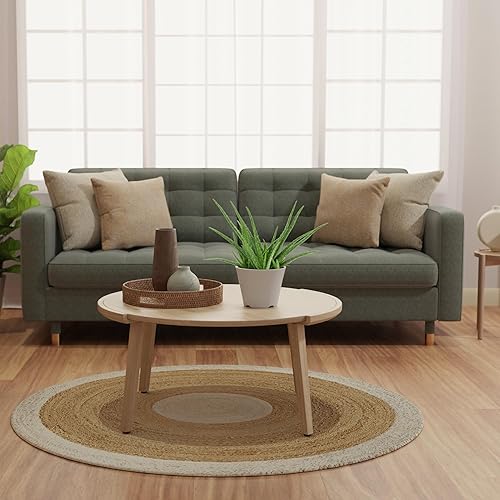 Miniatura 4 de Arcadia Garden Products - Planta de interior suculenta de aloe vera viva en maceta de plástico, planta ornamental purificadora de aire, regalo para