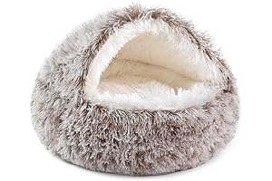 Cozy Paw Bed for Dogs: The Perfect Snug Haven for Your Furry Friend