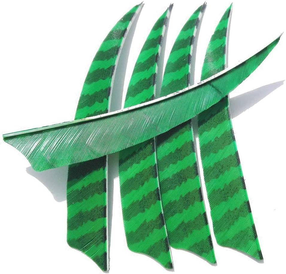 AMEYXGS 50 Pcs Archery Turkey Feather Fletching 4 Inch 5 Inch Natural Feather Fletching DIY Arrows Fletching Right Wings Vanes for Hunting Arrow Accessories