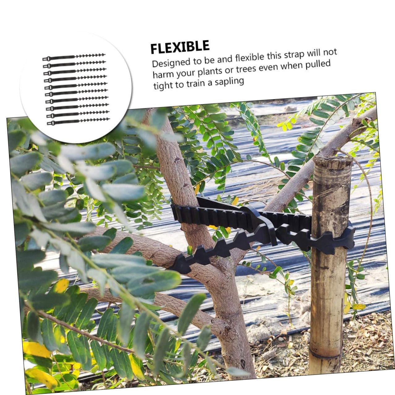 Toyvian Baumbindegürtel 10 Stück aus Gummi Flexibel für Bäume und Bonsai