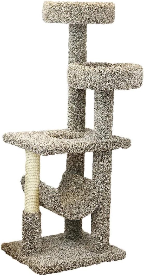 New Cat Condos 190121-Brown Cat Climbing Tree
