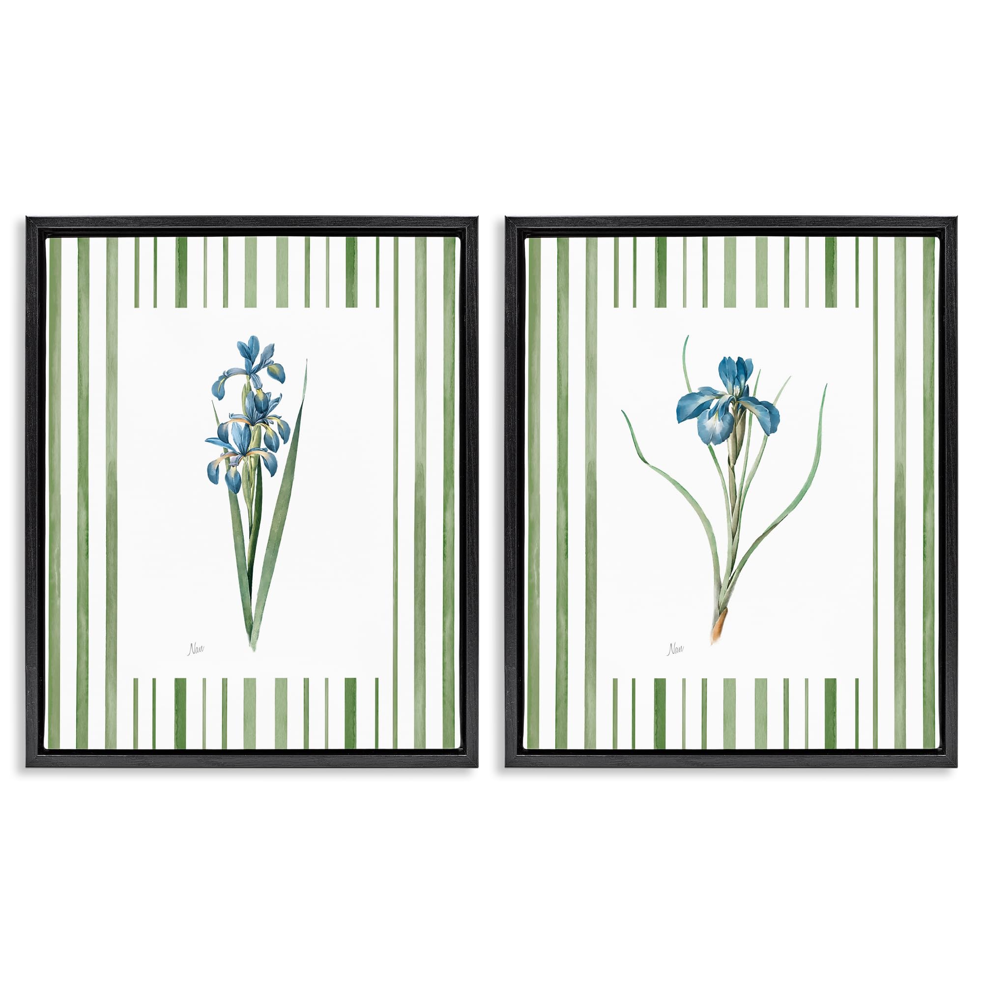 Stupell Industries Irises Stripes Blooms Irises And Stripes Floral, 16 X 20 Inch Canvas In Floater Frame Set