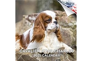 2024 - 2025 Cavalier King Charles Spaniel Calendar - Dog Breed Monthly...