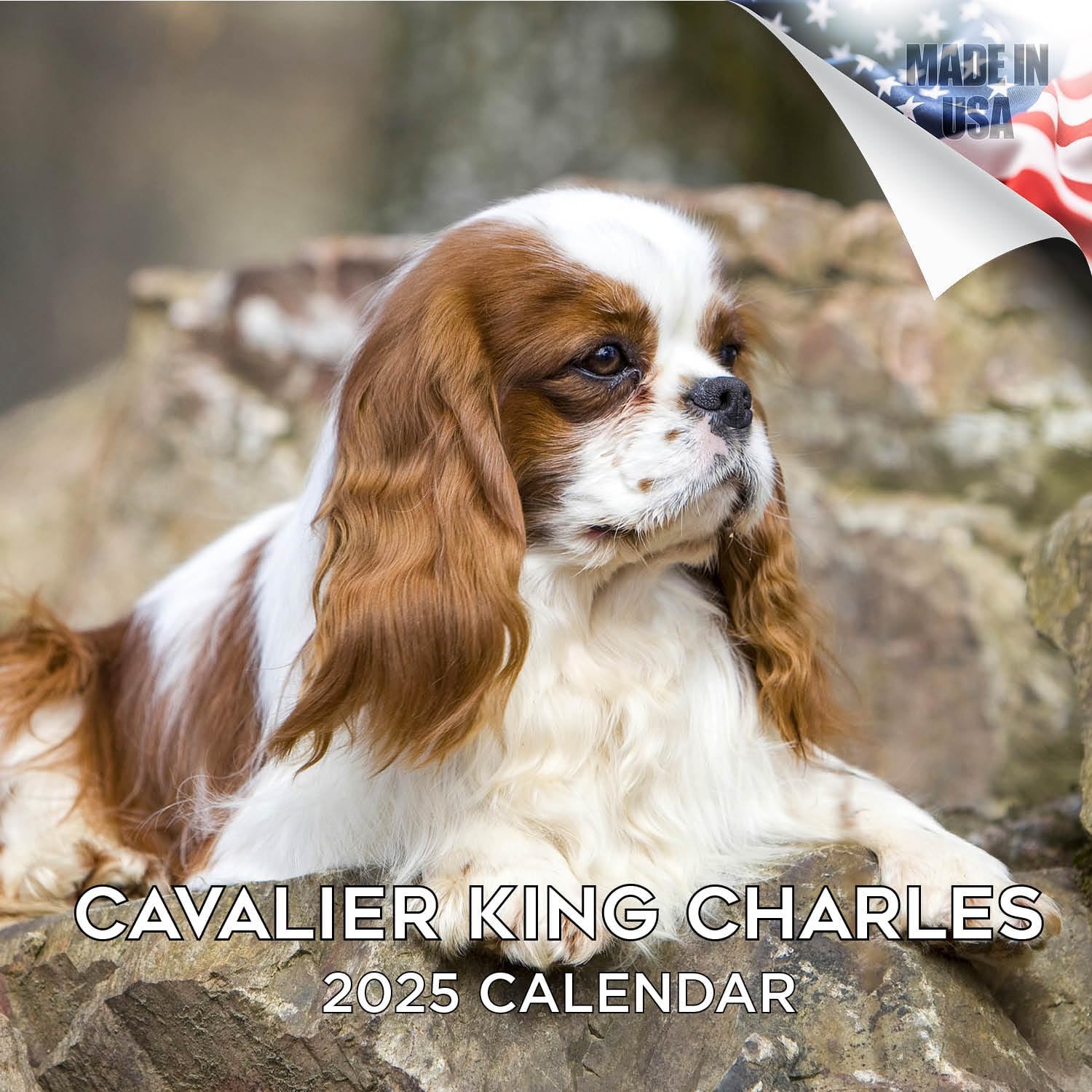 2025 Wall Calendar,Cavalier King Charles Spaniels Wall