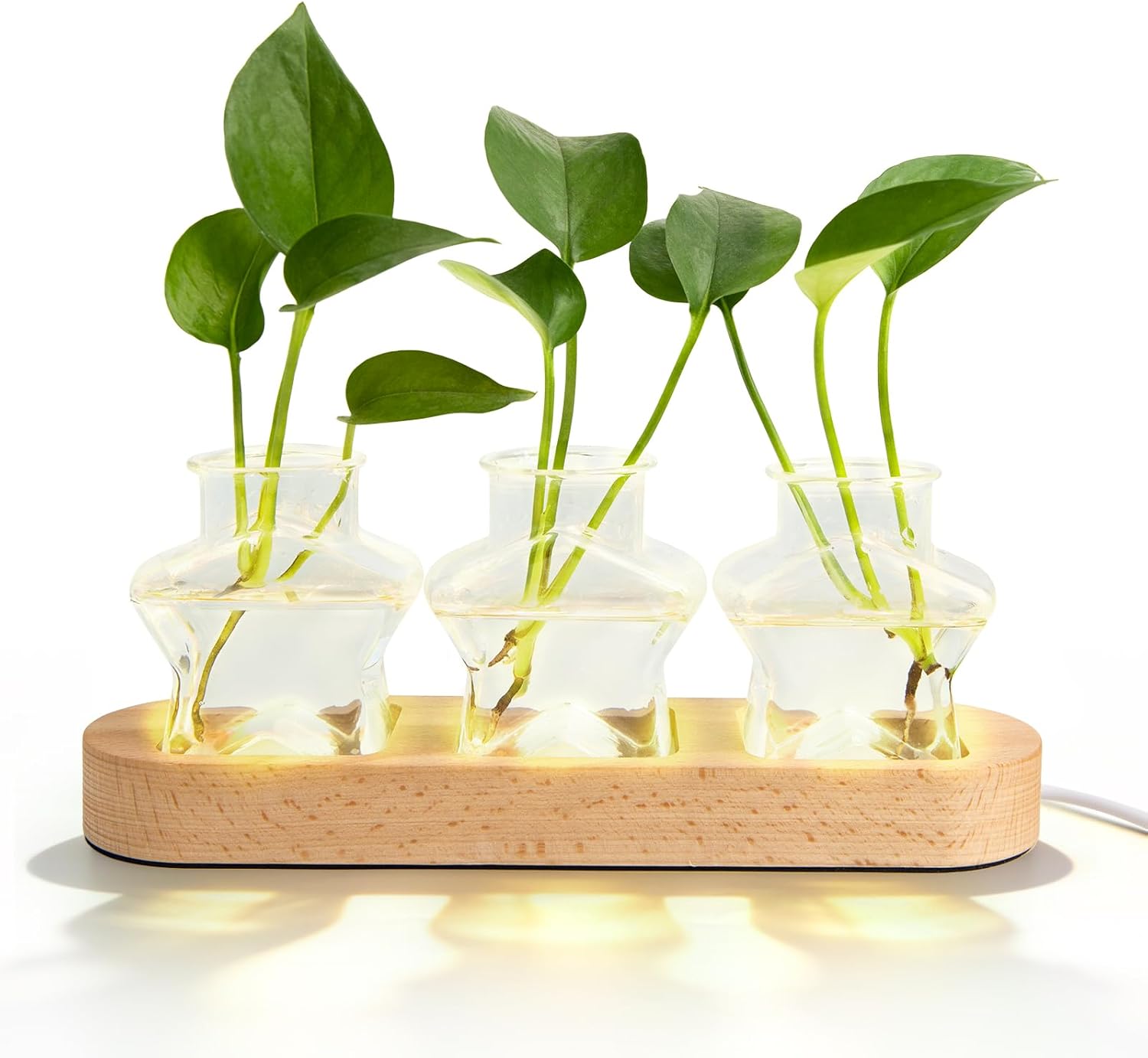 XXXFLOWER Plant Propagation Station with Wooden Stand，Air Plant Terrarium Starter Kits Star Vases for Flowers Plant Cutting Rooting Pots Indoor Hydroponic Glass Planter for Plant Lovers,3 Jars(Pink)