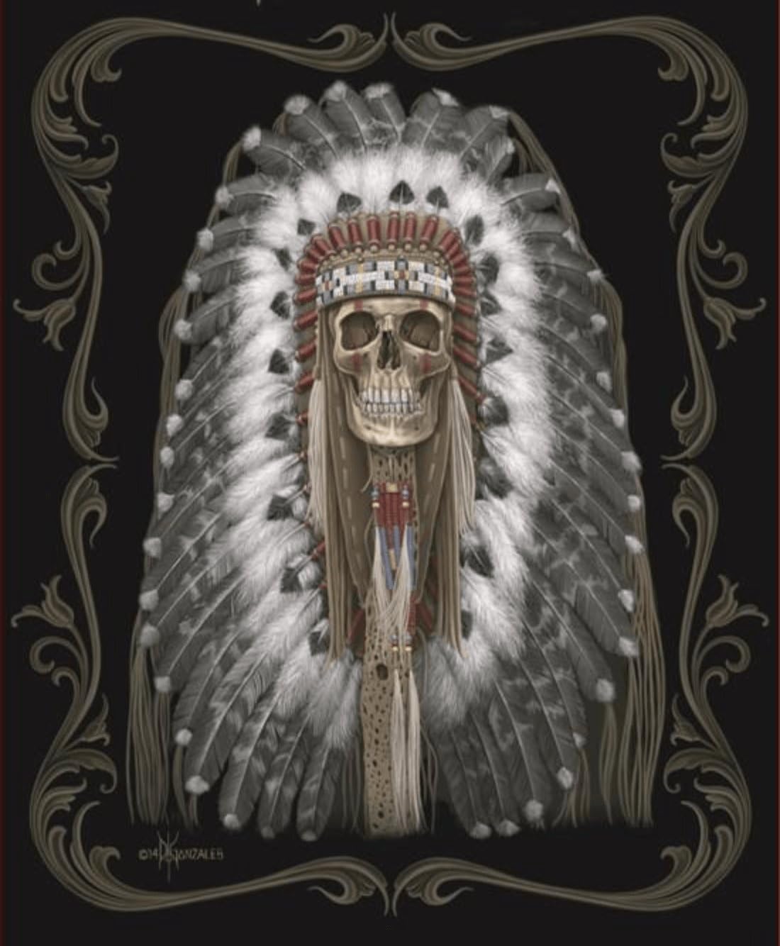 DGA Native Skull Signature Collection Super Soft Plush Blanket, Queen