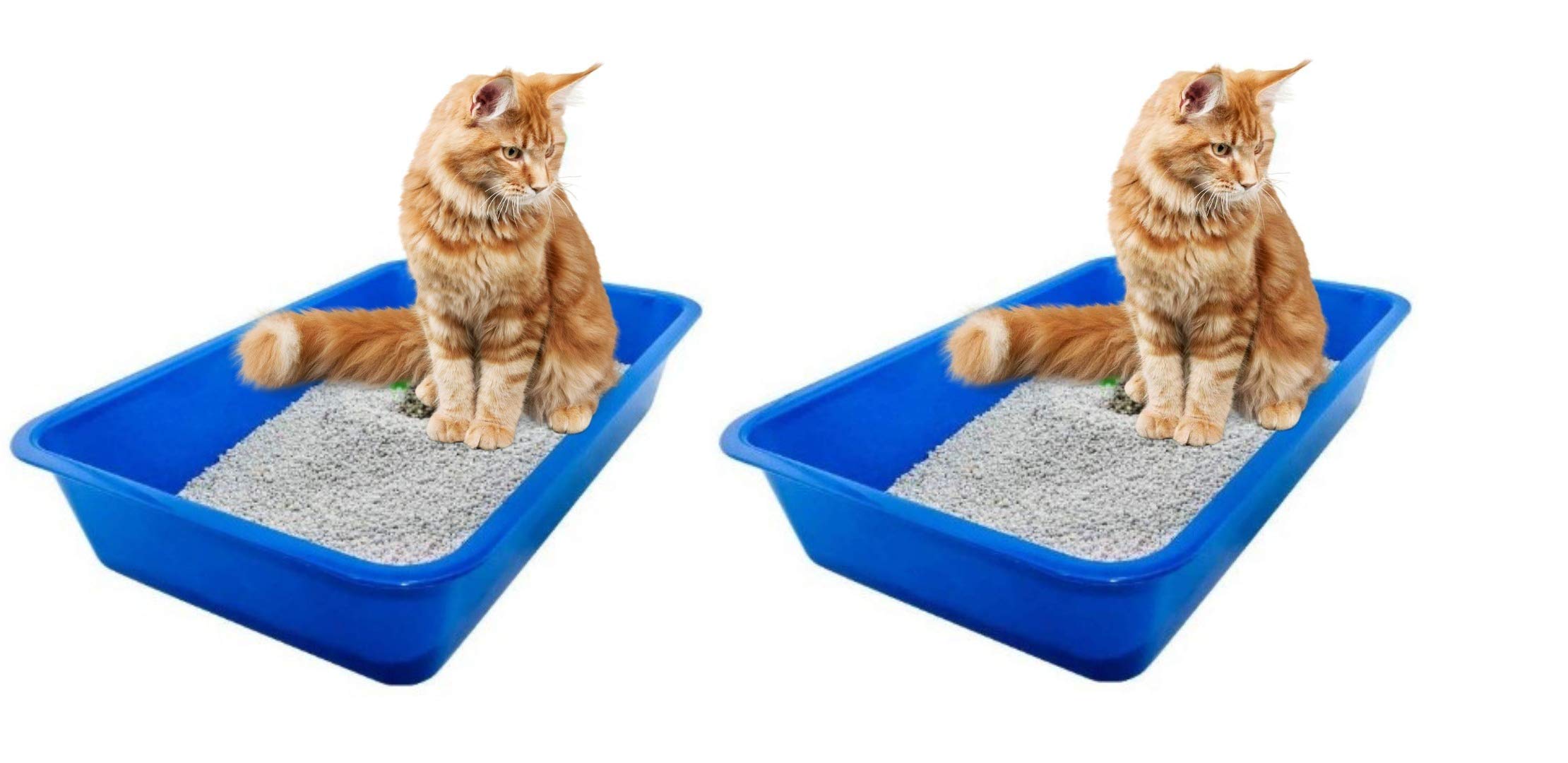 PetCrux Exclusive Cat Litter Tray Litter Tray - Pack of 2 (B084DKGQTT) Amazon Price History, Amazon Price Tracker