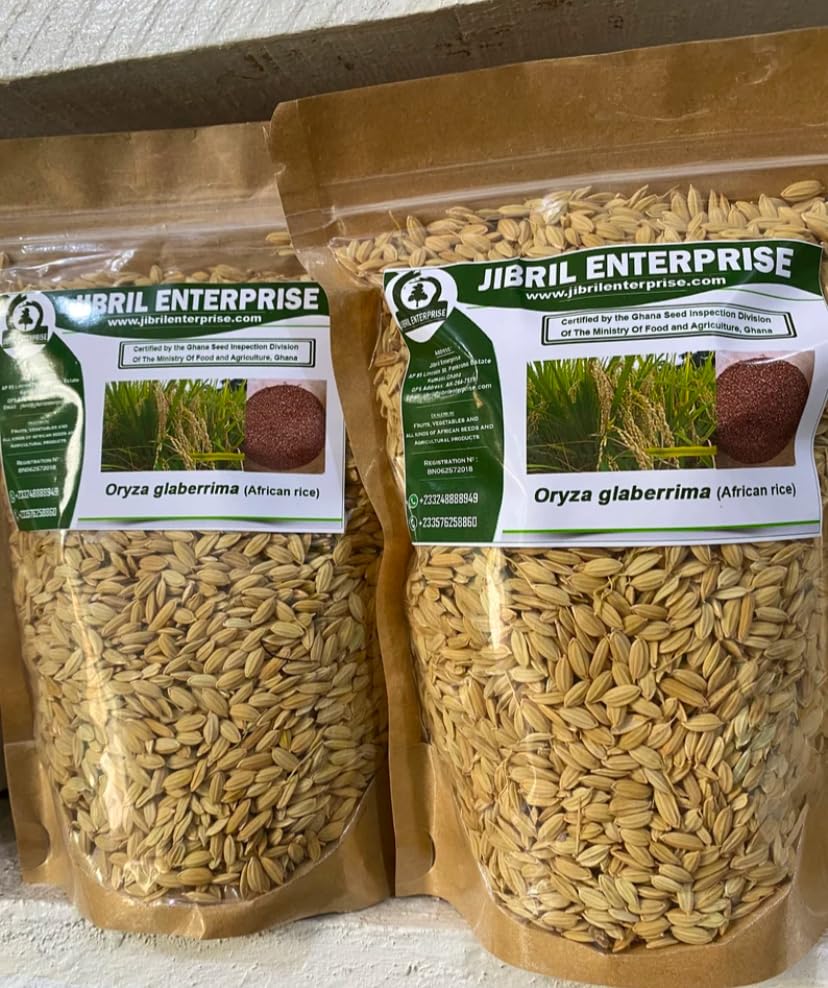 African rice,Oryza glaberrima paddy, 100% natural and organic, no additives, including phyto sanitary certificate (200g)