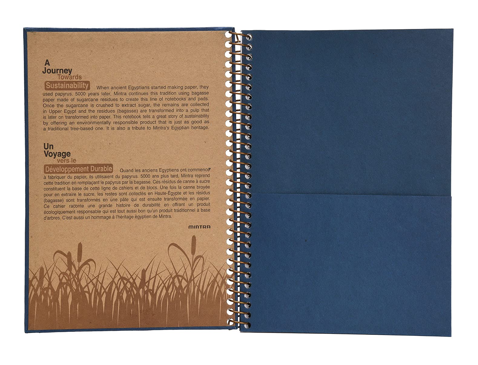 Mintra Notizbücher, 100 % recycelt, Junior (16,5 x 24,1 cm), solides Set