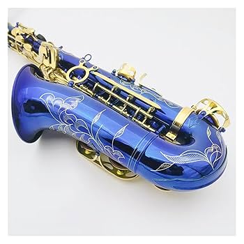 けんぼ　アルトサックス Amazon | サックスキット アルトサックス音楽音黒楽器 E