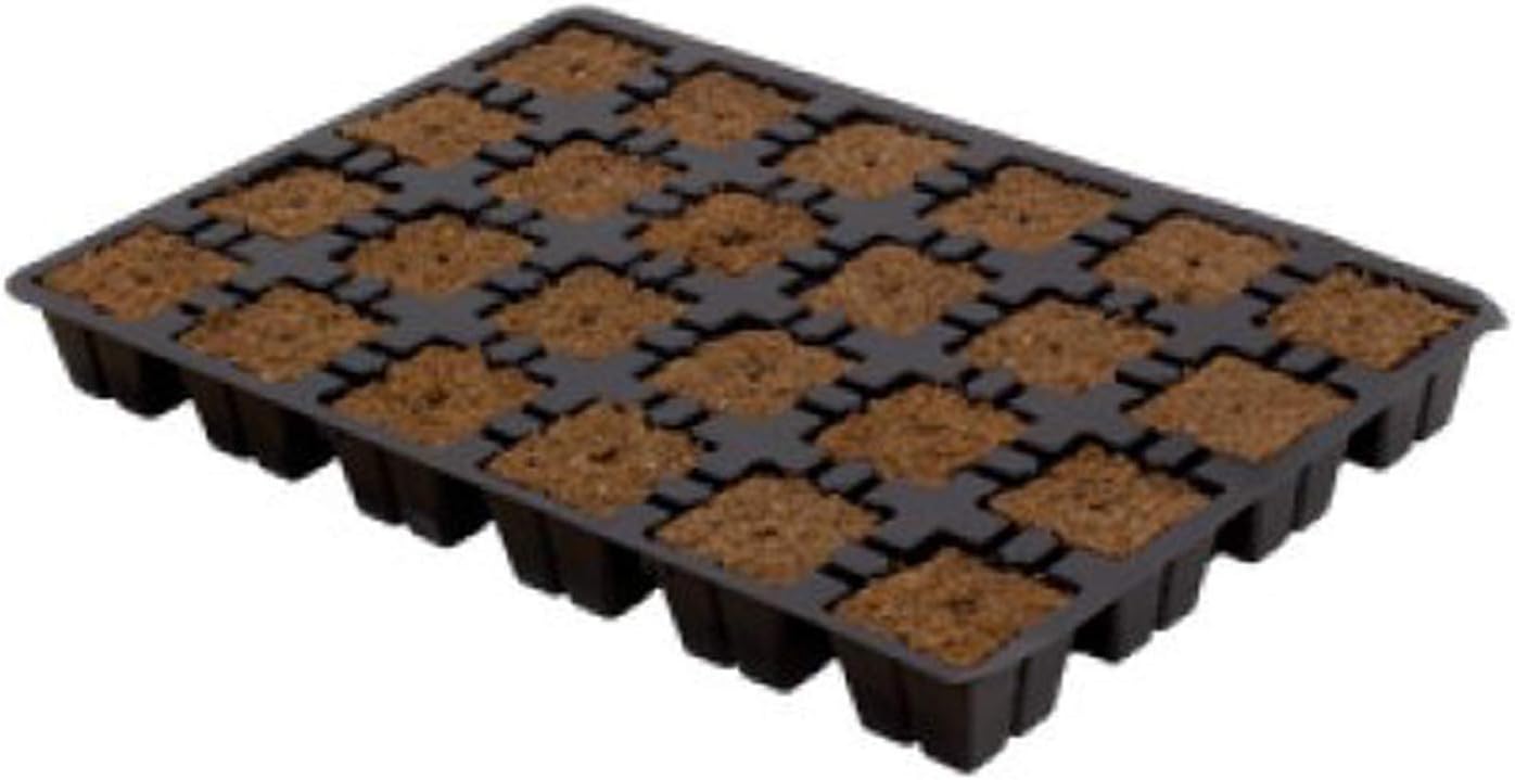 Eazy Plug Cutting Planting Cubes Tray with 24 - 30 x 20 x 3 cm, Cube Size 3.5 x 3.5 cm