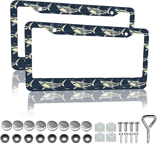 Miniatura 20 de Marcos de matrícula retro de rayas - 2 paquetes de soporte de matrícula divertidos y personalizados de acero inoxidable para piezas decorativas de