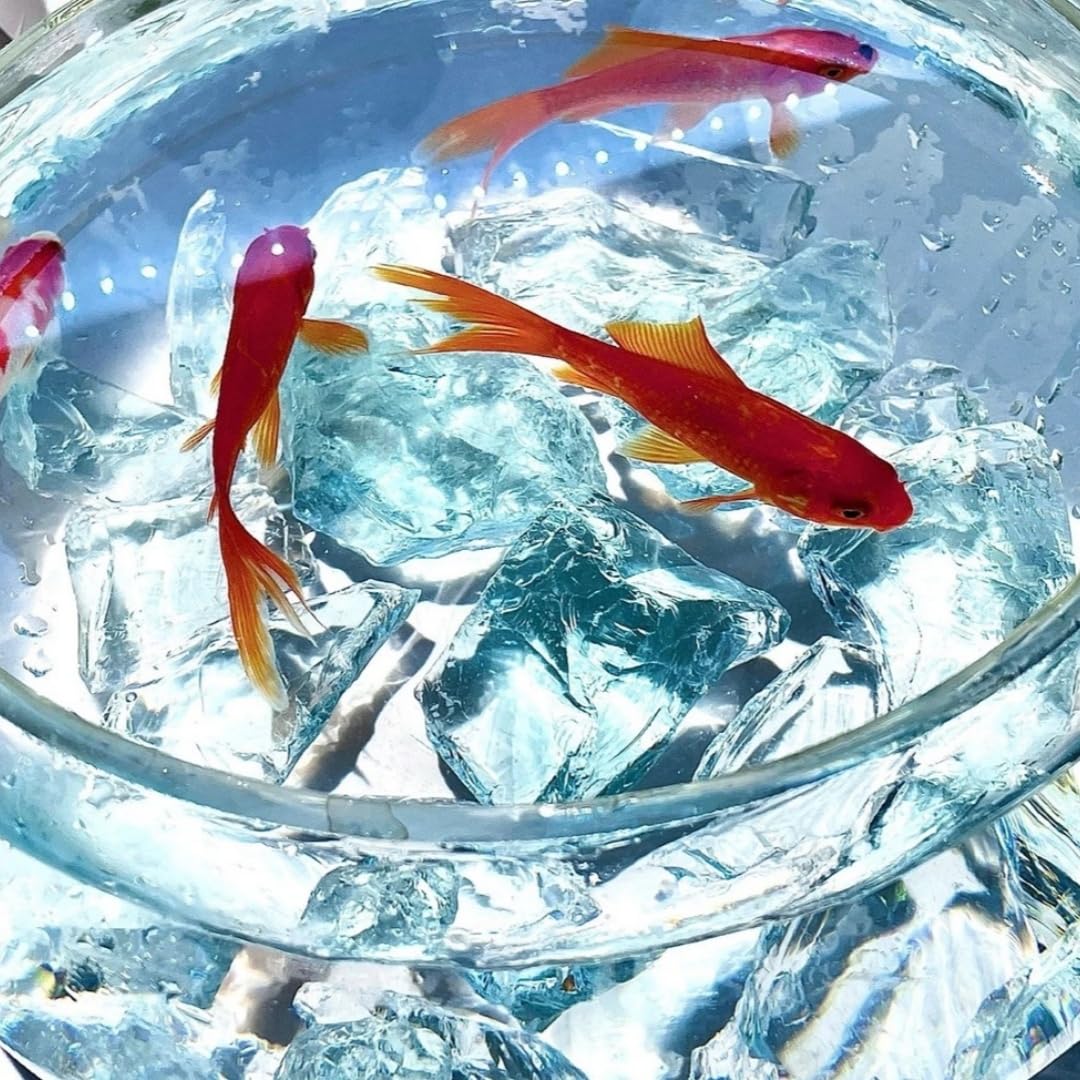 Aquarium Steine, Aquarium deko Glasstein | 800g, 3-5cm Fischo rnamente, Garnelenversteck, geeignet für Aquarien Aller Größen,Blumentopfdekoration