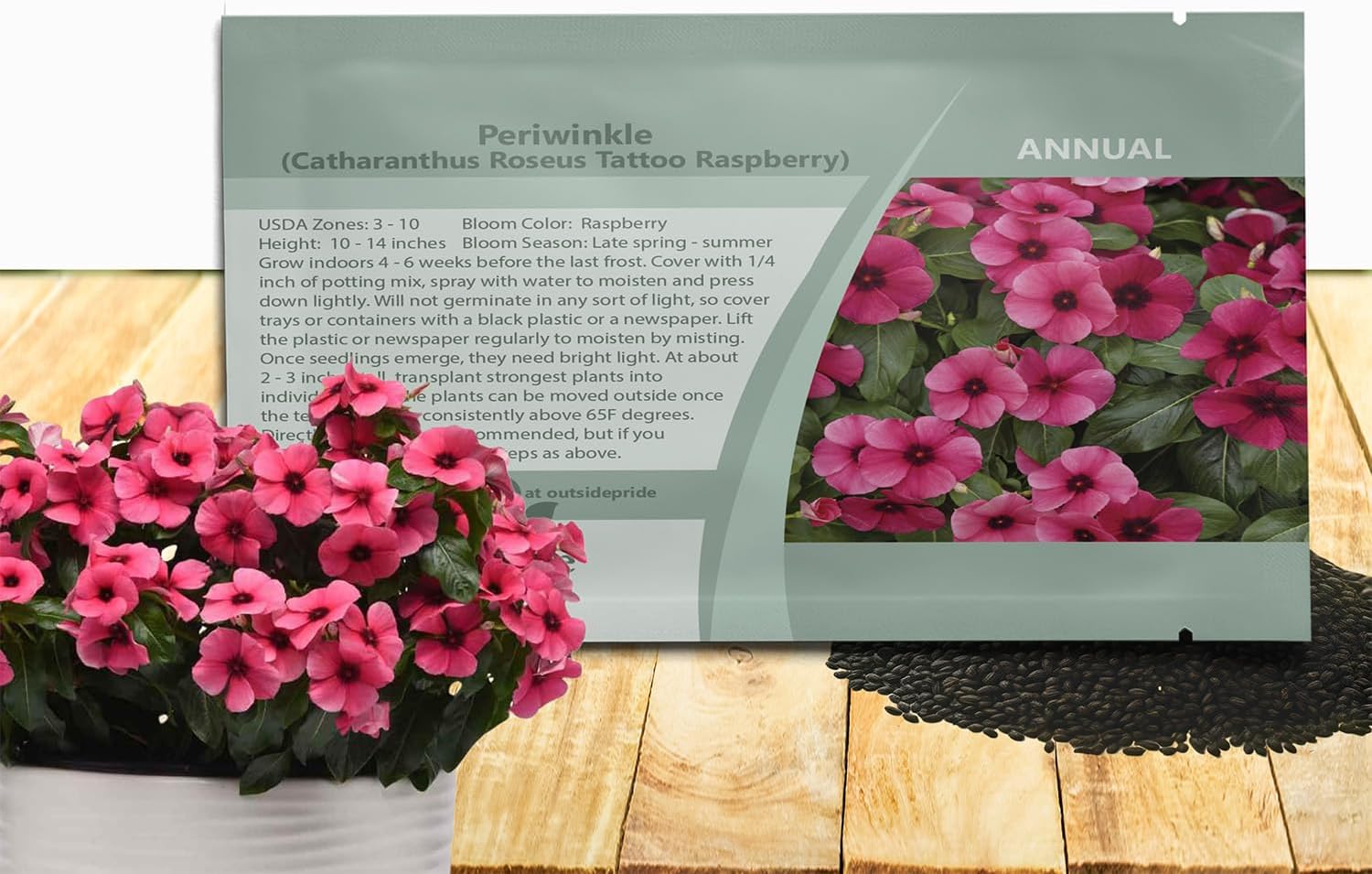 Outsidepride Raspberry Periwinkle Seeds for Planting – 50 Pcs Annual, Fast-Blooming, Heat & Drought Tolerant Vinca Flower Seeds with Vibrant Colors Ideal for Gardens, Beds, Borders & Containers