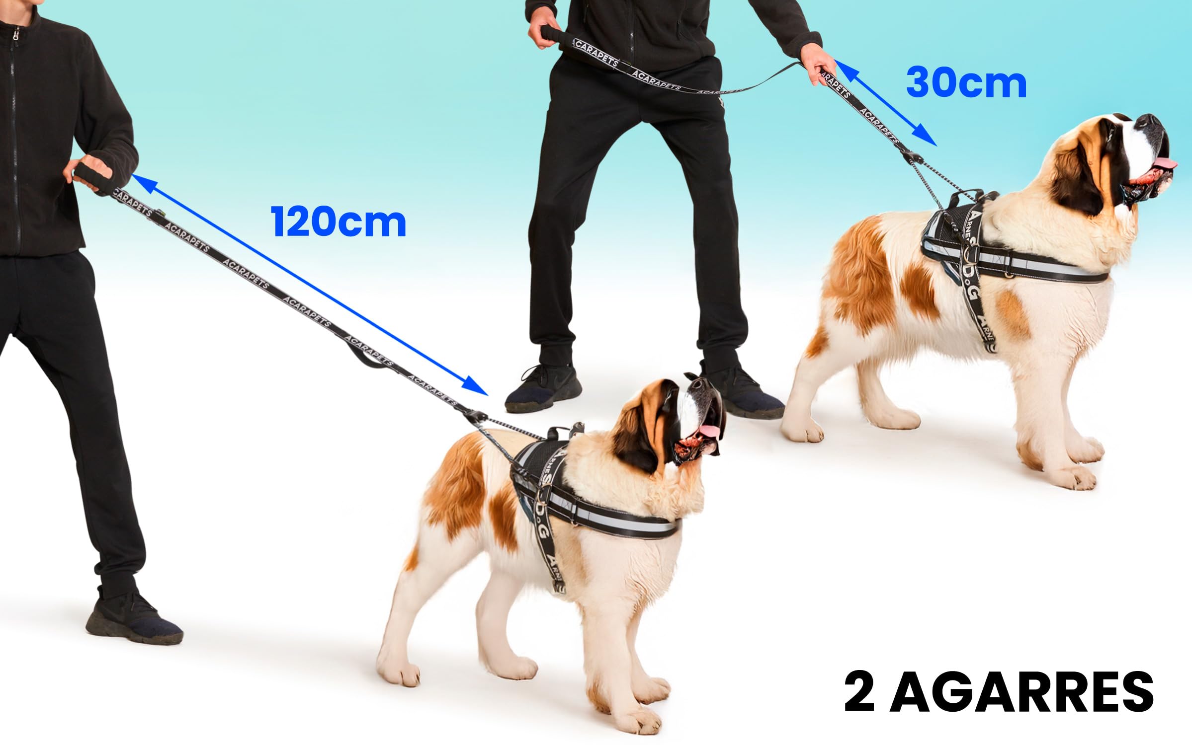 Arnés y Correa para Perro ACARAPETS - Arnés con 3 Anillas, Acolchado y Transpirable con Correa Bífida Elástica, Reflectante, Ajustable, para Caminar y Correr. (Negro, XL con Correa)