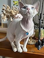 Vista 2 de Collar de perro con perlas y diamantes de imitación para perros pequeños, accesorios para collar de mascotas (S, azul marino)