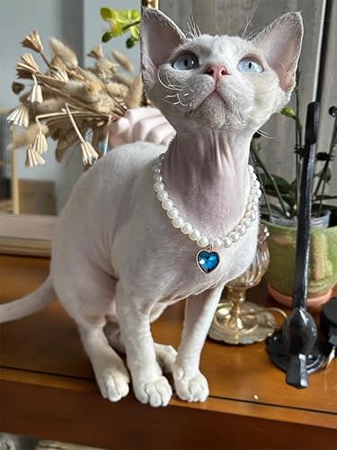 Miniatura 2 de Collar de perro con perlas y diamantes de imitación para perros pequeños, accesorios para collar de mascotas (S, azul marino)