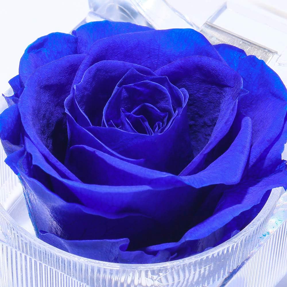 Enchanted Rose in Acrylic Crystal Ring Box Handmade Real Preserved Fresh Flower Best Romantic Gift for her Mother's Day Christmas Surprise Mom Wife NOT Silk (Blue) - Image 2