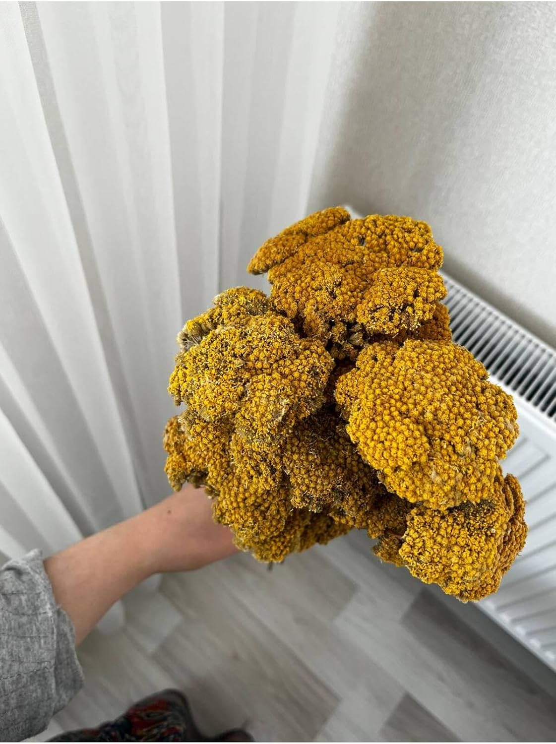 Dried Flowers Yarrow Bunch Yellow Floral Arrangement Home Decor Craft Supply - Yellow