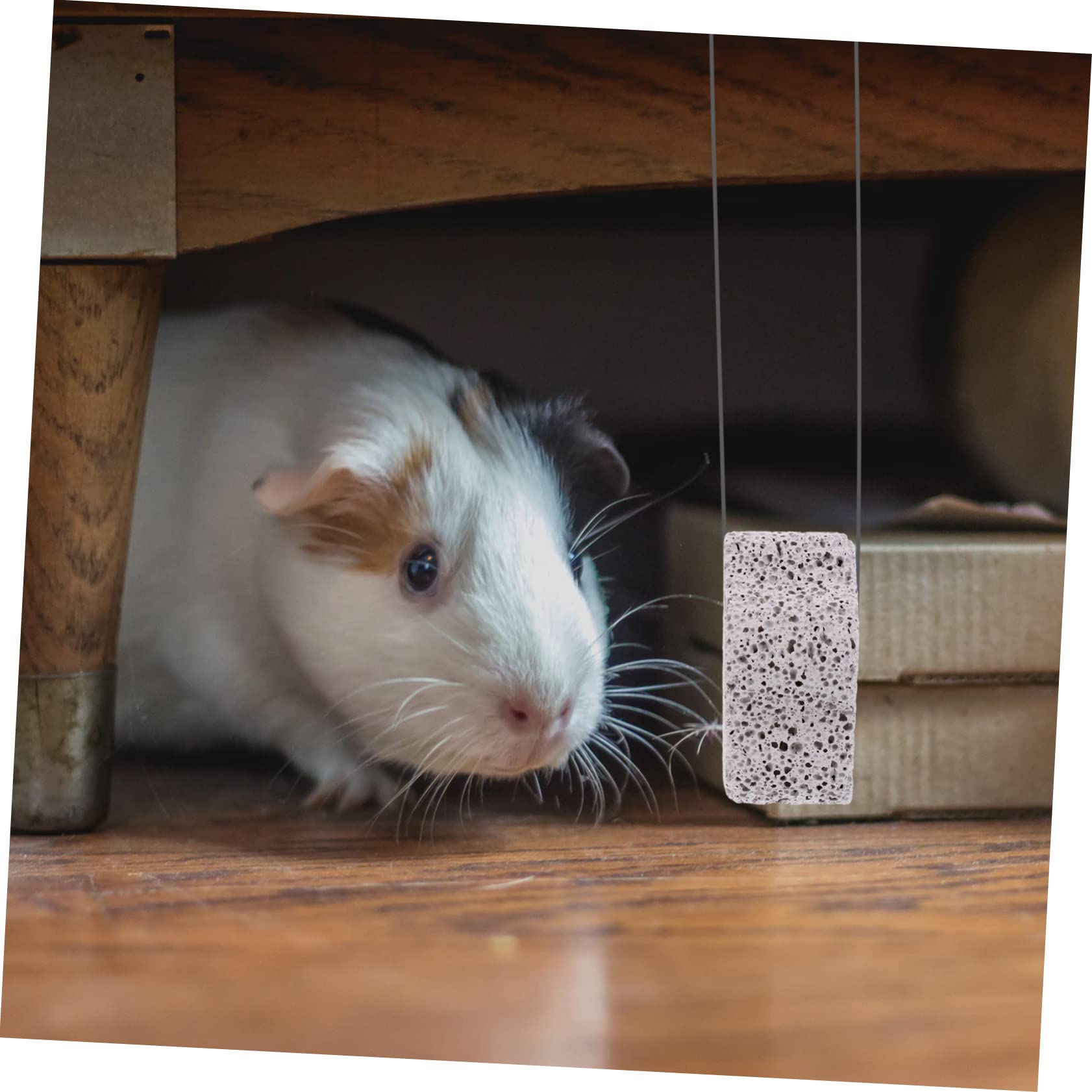 DOITOOL 36stücke Teiliges Calcium-kauspielzeug Für Haustiere Mineralstein Zum Zähneknirschen Für Hamster Kaninchen Und Andere Kleintiere Fördert Gesunde Zähne Und Natürliche