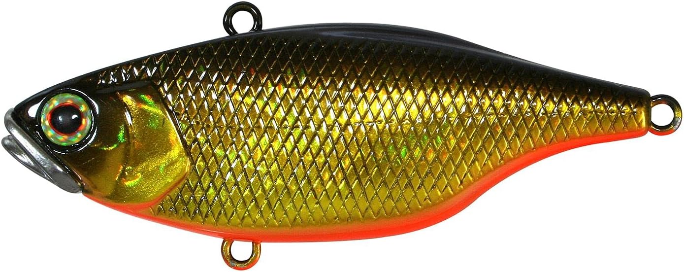 Jackall TN 50 HL Black & Gold