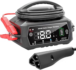 Golf cart Battery Charger, 48V 13A and 36V 18A Trickle Battery Charger,48 Volt Golf Charger,for EZGO RXV&TXT Smart Charger,Lithium,LiFePO4,Lead-Acid AGM/Gel/SLA..BatteryCharger,3-Pin (Delta-Q)