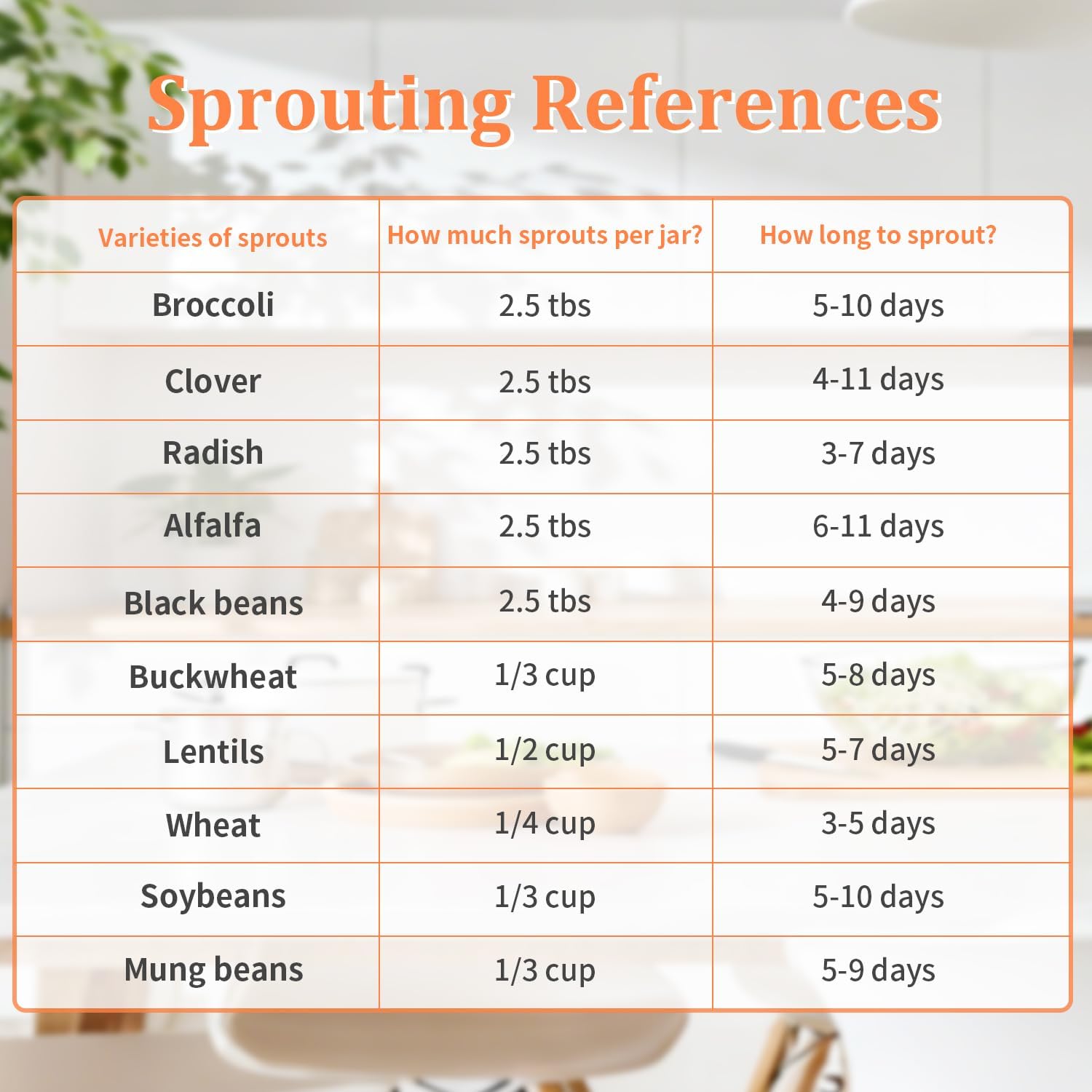 Seed Sprouting Kit with Mung Beans 80g and Organic Radish Sprout Seeds (16 oz)