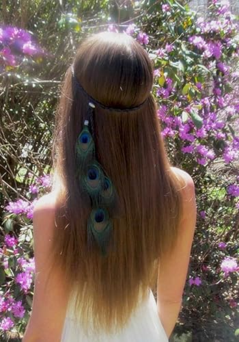 Gortin Diademas de plumas bohemias de plumas indias marrones tocado hippie diadema bohemia para festivales fiesta accesorio para el cabello para