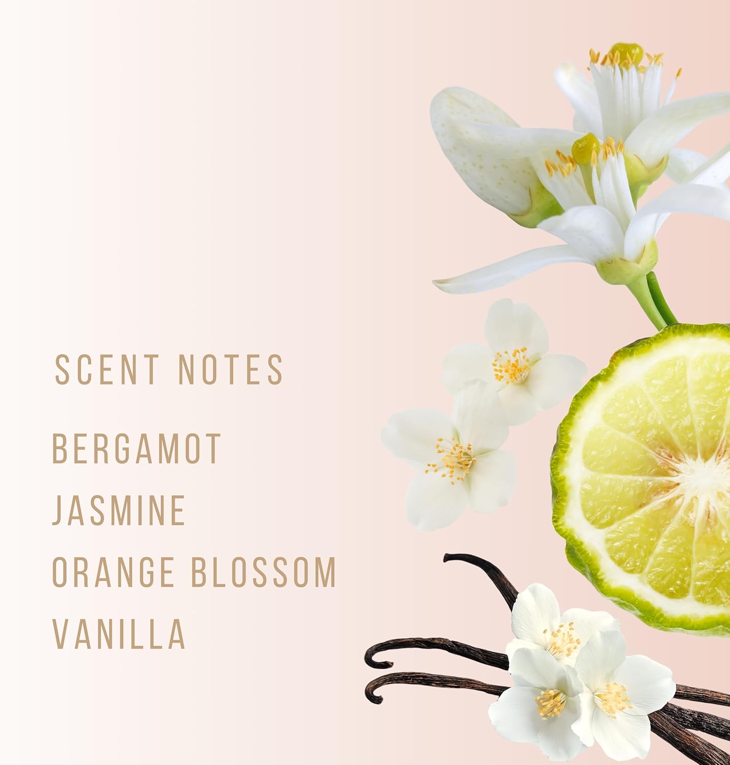 HVNLY Grace EDP | Perfume For Women | An Ideal Gift | Long Lasting Premium Floral Fragrance | Vanilla, Orange Blossom, Lily Of The Valley | Best For Office Wear, Casual Wear | 1.0 fl.oz - Image 5