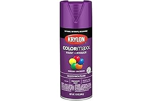 Krylon COLORmaxx Rainbow Spray Paint and Primer for Indoor/Outdoor Use
